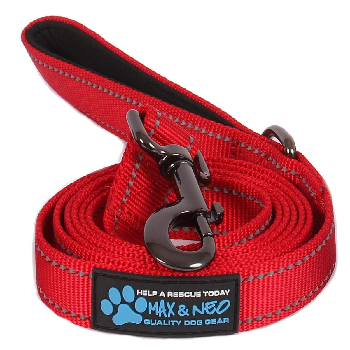 Reflective Nylon Dog Leash