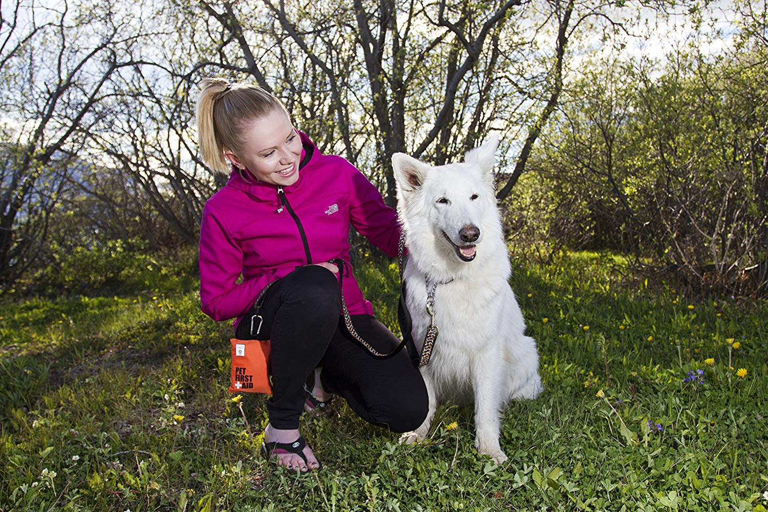 Pet First Aid Kit