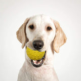 Squeaker Ball Set of 3