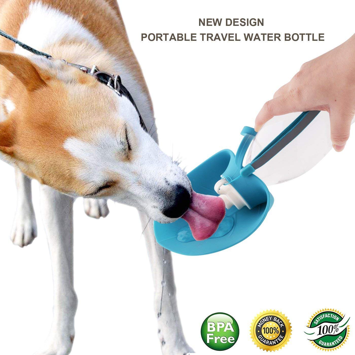 Portable Water Bottle