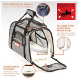 Pet Travel Carrier