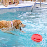 Rubber Frisbee