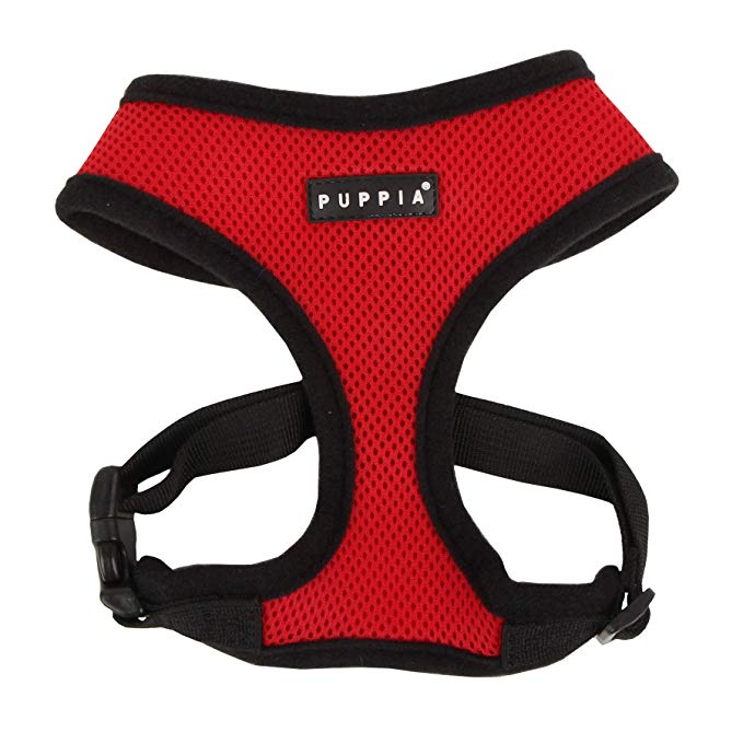 Dog Harness