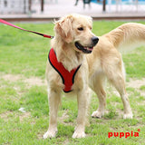 Dog Harness