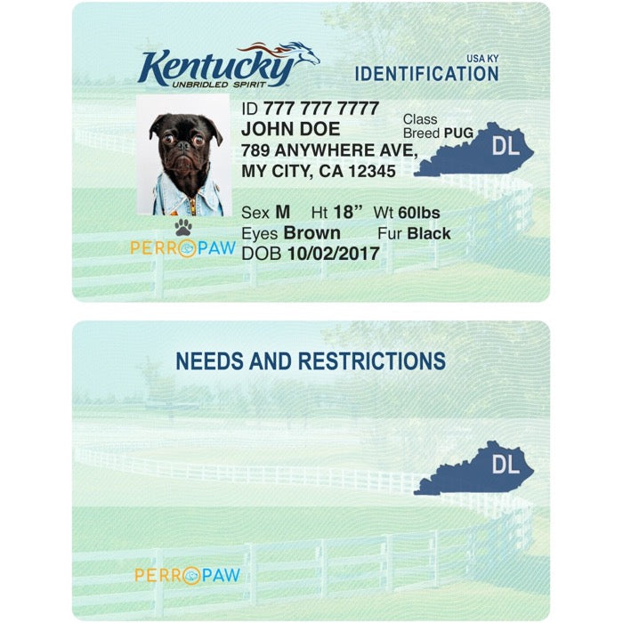 Kentucky Pet Tag