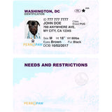 Washington, D.C. Pet Tag