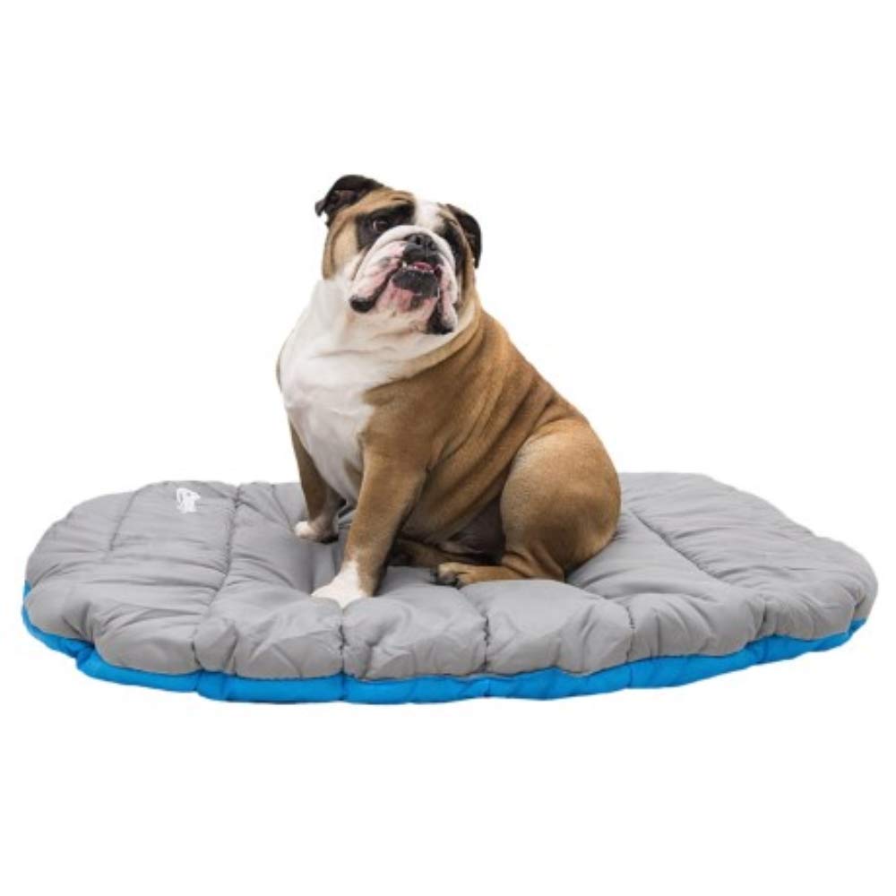 Portable Pet Bed