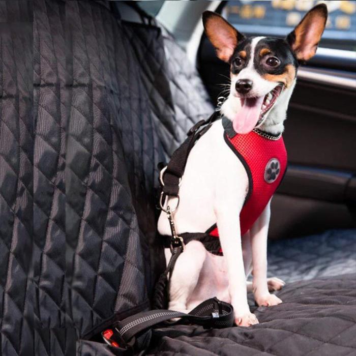 Car Dog Seat-belt Harness